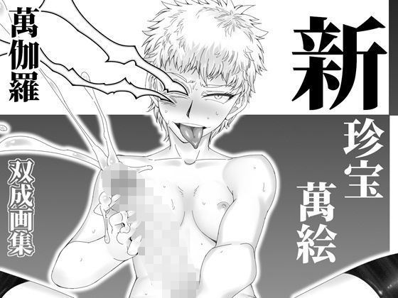 新 珍宝萬絵